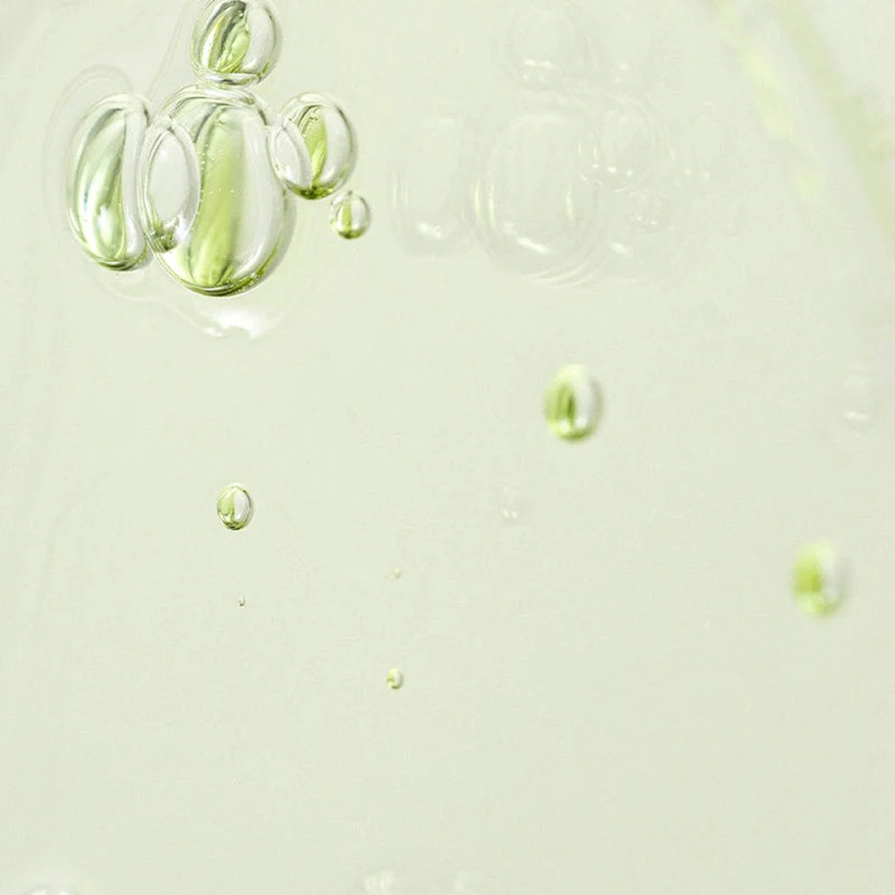 Beauty Of Joseon Green Tea Panthenol Calming Serum 30ml