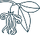 Ingredient image