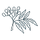 Ingredient image